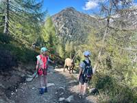 Vallorcine - Réserves des Aiguilles Rouges, des rencontres inoubliables