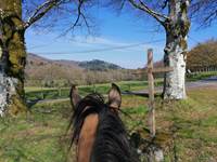 Vue sur les Monts d'Ambazac lors d'une randonnée à cheval depuis le Gîte de la Chevêche