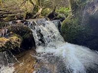 le ruisseau et ses chutes d'eau