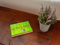 Oeuvre Ronsard