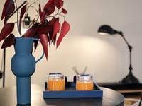 APPART HOTEL  (422)