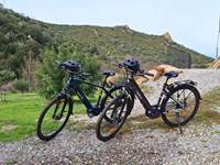 Velos assistance electrique