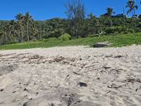 Plage de Grand Anse