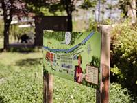 Le plan du Florenville Camping