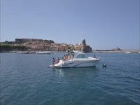 Collioure juin 2017