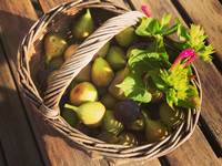 Produits locaux