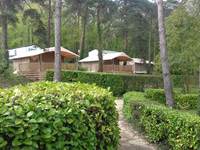 Nos tentes lodges