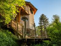 cabanes dans les arbres vosges