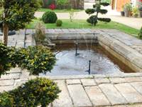 bassin jardin