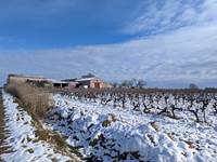 Neige 2