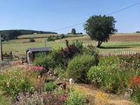 Aux alentours