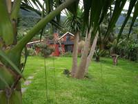 jardin