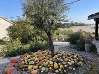 Couleurs d automne