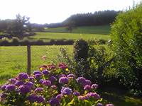 VUE SUR LA CAMPAGNE