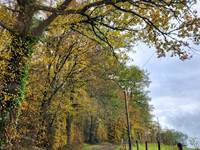 ambiance champêtre