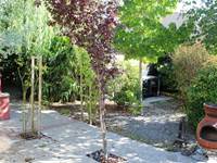terrasse sauvage
