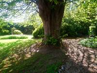 jardin