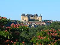 Le Château en fleur!
