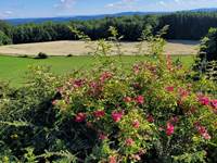 vue du gîte
