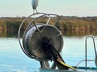 Aigrette au quai des pêcheurs