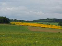 Vue depuis votre chambre à la Chabetaine au printemps