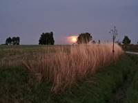 Lever de lune sur Falmagne