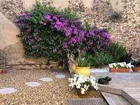 Hotel pool garden Marseillan