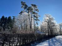 Logement de vacances- sous la neige