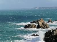Réserve ornithologique du Cap Sizun