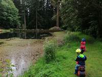 Arboretum de la Jonchère-Saint-Maurice dans les Monts du Limousin pour une sortie en famille - Ferme de la Chevêche