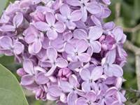 img-0594_3024x2016