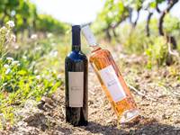 Domaine-du-Blavet-vins