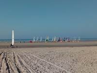 Char à voile sur la plage