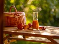 petit déjeuner tente