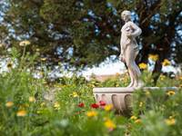 Petite fée du jardin