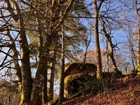 Les rochers atypiques