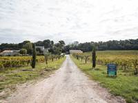 Chemin du chateau