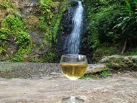 Etape Saut Gendarme - Visite Pile et Face