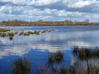 Etang de Brenne