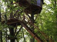 Cabane Maya