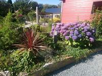 jardin
