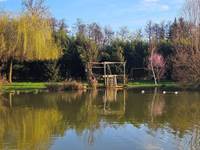 Etang Mars 2024