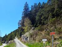 Départ piste du Cubertin