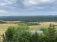 Vue depuis la terrasse