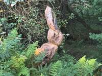 O Moulin du Fieux - Le lapin géant