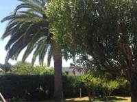 Location avec jardin et plage à Ajaccio