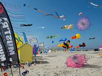 Festival Cerf-volants de Berck