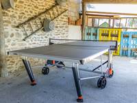 table de ping-pong