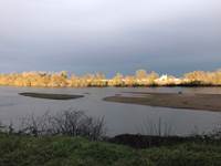 Saint Clément doré