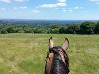 Vu sur le Limousin depuis les Monts d'Ambazac lors d'une randonnée à cheval depuis le Gîte de la Chevêche